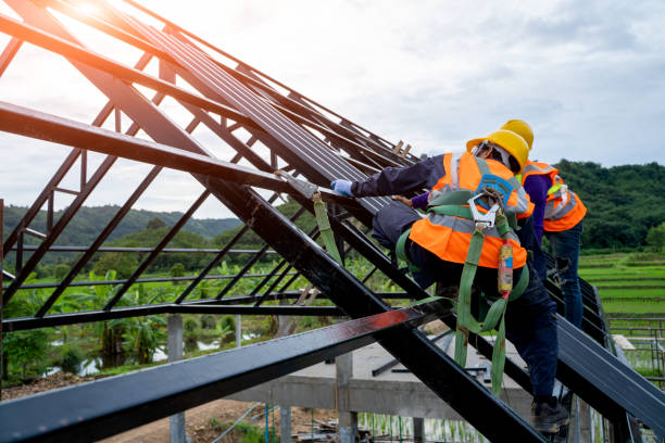 Best Roof Gutter Cleaning  in Destrehan, LA